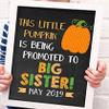 Canary Road Pumpkin Big Sister Pregnancy Announcement Paper Art Print | Pregnancy Announcement Sign | Baby Announcement Photo Prop | Big Sister Sign | New Baby Sign | Pumpkin Baby | Fall Pregnancy view 2