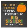 Canary Road Pumpkin Big Sister Pregnancy Announcement Paper Art Print | Pregnancy Announcement Sign | Baby Announcement Photo Prop | Big Sister Sign | New Baby Sign | Pumpkin Baby | Fall Pregnancy view 3