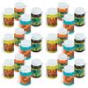 Fun Express Dino Bubbles (24 Pack of 1 oz Bottles) Dinosaur Party Favors and Toys - VBS Vacation Bible School Supplies/Decor view 1