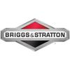Briggs & Stratton 1760644YP Badge view 1