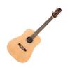 Ashton D20/12 NTM Dreadnought 12 String Guitar view 1