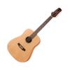 Ashton D20/12 NTM Dreadnought 12 String Guitar view 3