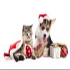 Pet Acoustics SD Card Expansion - Jingle Tunes view 2