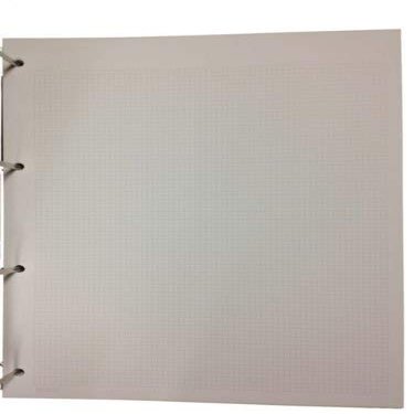 Westgate Supplies Pack of 100 Prestige/Alpha Major Quadrilled Stamp Album Pages - With Bonus Perforation Gauge