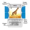 100 PICS Animals Travel Game - Guess 100 Animals | Flash Cards with Slide Reveal Case | Card Game, Gift, Stocking Stuffer | for Kids and Adults | Ages 6+ view 2
