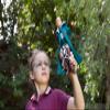 HARRY POTTER QUIDDITCH DRACO MALFOY view 2