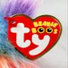 TY Asha Pastel Ostrich - Beanie Boos view 4