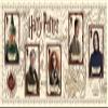 Royal Mail Harry Potter Framed Hogwarts Souvenir Sheet from, N3155 view 2