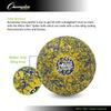 Champion Sports Premium Rhino Skin Extreme Color Dodgeballs - Glow in the Dark, Color-Changing, and Spider Grip - Low Bounce Dodgeballs view 4