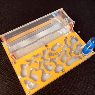 150mmx110mm Test Tube Moisture Big Space Ant Nest,Ant Farm Acrylic, Insect Ants Villa House Ants Ecological Workshop (Yellow)