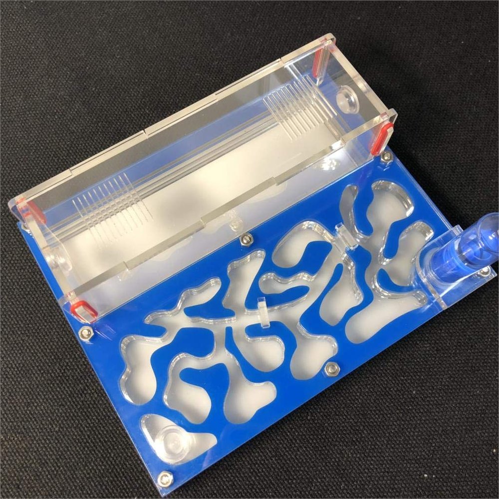 ANT 150mmx110mm Test Tube Moisture Big Space Nest Farm Acrylic, Insect Villa House Ecological Workshop (Sky Blue)