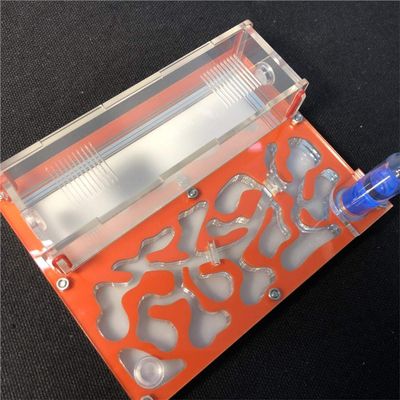 ANT 150mmx110mm Test Tube Moisture Big Space Nest Farm Acrylic, Insect Villa House Ecological Workshop (Orange)