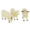 2019 43240 Charolais Cows view 1