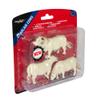 2019 43240 Charolais Cows view 4