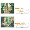 3D Wooden Dinosaur Puzzle - 6 Piece Set Wood Dinosaur Skeleton Model Puzzle - DIY Wooden Crafts 3D Puzzle - STEM Toys Brain Teaser Puzzle Gifts view 4