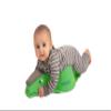 CRAWLIGATOR Tummy Time Mobility Toy for Infants 4-12 Months (Green) view 3