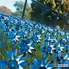 Blue and Silver Pinwheels (Bulk Set of 36) Great for Parties and Awareness Decor, Great for Child Abuse Awareness Month view 4