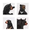 Realistic Wild Life Jungle Animal Figures Model Black Bear Family Playset Eduactional Toys Playset Figurine Statue Classroom Desktop Decoration for Kids Toddler Party Supplies(5 pcs) view 4