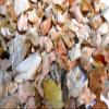 Rockhound's 1st Choice Rock Tumbler Gem Refill Kit -Natural Australia Pink Opalite Rough- 8oz view 1