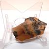 Rockhound's 1st Choice Rock Tumbler Gem Refill Kit -Natural Australia Pink Opalite Rough- 8oz view 4