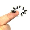 An_Shop 10pcs Artificial Animal Accessories Clay Goldfish Packs Miniature Figurine Mini Decorative for DIY Ornament Craft DIY Dollhouse Black-Gold view 1