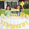 Amscan International Amscan 410099 Decoration Table Dec Kit Lemonade Stand 1 Pack Spring, Multicolor view 1