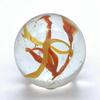 Big Game Toys~Large 2" (50mm) House Party Toe Breaker w/Display Stand Bubble Marble Glass Ball Large Huge Clear/Red/Yellow Confetti Ribbon Shooter Swirl view 2