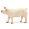 Safari Ltd. Large White Pig - Realistic 4" Farm Animal Figure - Educational Toy for Boys, Girls, and Kids Ages 3+ view 1