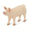 Safari Ltd. Large White Pig - Realistic 4" Farm Animal Figure - Educational Toy for Boys, Girls, and Kids Ages 3+ view 3