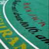 Cyber-Deals Blackjack & Texas Holdem Poker 2-Sided Premium Felt Layout 90cm x 180cm view 3