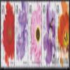 Australia 3530-3534 Five Strips (Complete.Issue.) unmounted Mint/Never hinged ** MNH 2011 Blumenfestivals (Stamps for Collectors) Plants/Mushrooms view 1