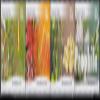 Australia 3567-3570 Quad Strip (Complete.Issue.) unmounted Mint/Never hinged ** MNH 2011 Plants (Stamps for Collectors) Plants/Mushrooms view 1