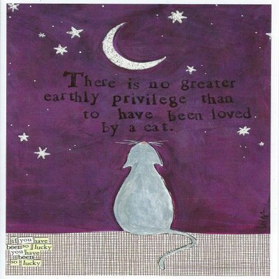 Curly Girl - No greater privilege than to be loved by a cat