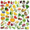 SpriteGru 59 PCS Fruits & Veggies Magnets for Toddlers Kids, Perfect for Preschool Learning view 1