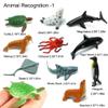 24-Pack Sea Ocean Animal Figures - Realistic Plastic Pool Party Toys Set with Turtle, Octopus, Shark - Children's Educational Birthday Gifts view 2