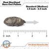 Barn Owl Pellets for Dissection  10 Pack Medium Sized (1.5"2.0") with Tools & Comprehensive Guide from OBDK view 2