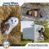 Barn Owl Pellets for Dissection  10 Pack Medium Sized (1.5"2.0") with Tools & Comprehensive Guide from OBDK view 3