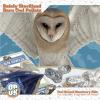 Barn Owl Pellets for Dissection  10 Pack Medium Sized (1.5"2.0") with Tools & Comprehensive Guide from OBDK view 4