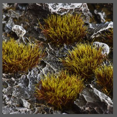 Gamers Grass - 8mm Swamp XL