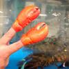 Archie McPhee Finger Lobster Claws Pack of 2 view 3