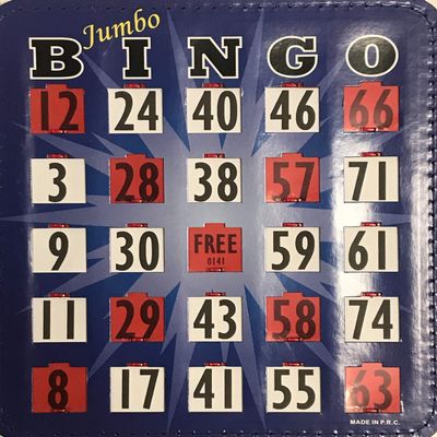 HAYES SPECIALTIES 10 Stitched Easy Read Bingo Jumbo Shutter Slide Cards (Blue)