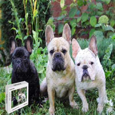 1000 Piece Jigsaw Puzzle - French Bulldogs Basswood Puzzle,29.5 X 19.6 Inch