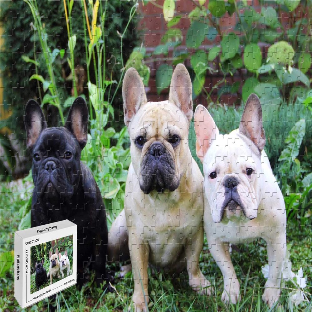 1000 Piece Jigsaw Puzzle - French Bulldogs Basswood Puzzle,29.5 X 19.6 Inch
