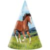 Creative Converting 340107 Horse And Pony Party Child Party Hat view 1