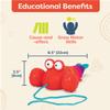B. toys  Pull Along Lobster Toy  Waggle  A  Longs  Pinchy Pat Developmental Toy  Push & Pull Walking Toy with String for Babies, Toddlers & Kids  Encourages Movement & Coordination 18+ Months view 4