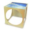 Whitney Brothers WB0212: Acrylic Top Play House Cube, Natural UV, 29" W x 30" D x 29" H view 1