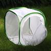 Insect and Butterfly Habitat Cage Terrarium Pop-up 12 X 12 X 12 Inches, Polyester Bottom for Easier Clean view 4