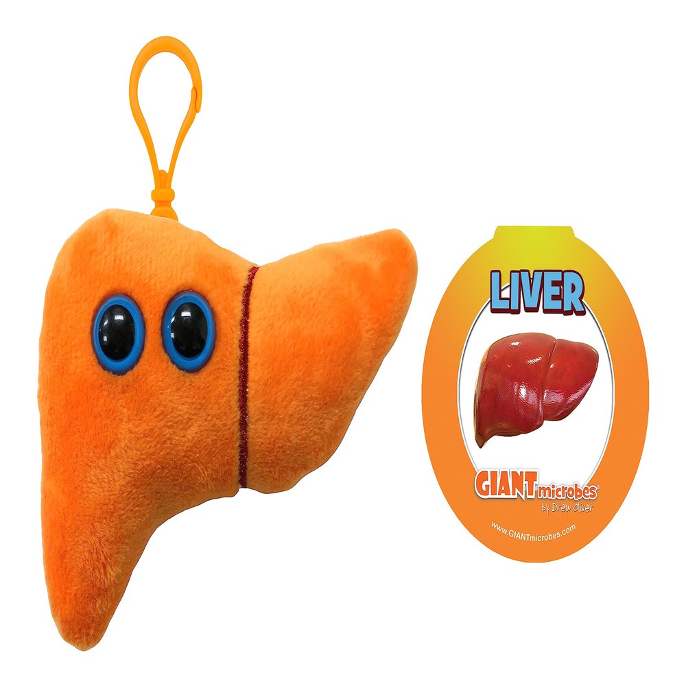 GIANT MICROBES Liver Plush Keychain  Anatomical Organ Toy, Get Well Gift for Post-Surgery or Illness, Unique Gift for Students, Educators, Doctors, Public Health Experts and Scientists