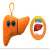 GIANT MICROBES Liver Plush Keychain  Anatomical Organ Toy, Get Well Gift for Post-Surgery or Illness, Unique Gift for Students, Educators, Doctors, Public Health Experts and Scientists view 1