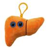 GIANT MICROBES Liver Plush Keychain  Anatomical Organ Toy, Get Well Gift for Post-Surgery or Illness, Unique Gift for Students, Educators, Doctors, Public Health Experts and Scientists view 4